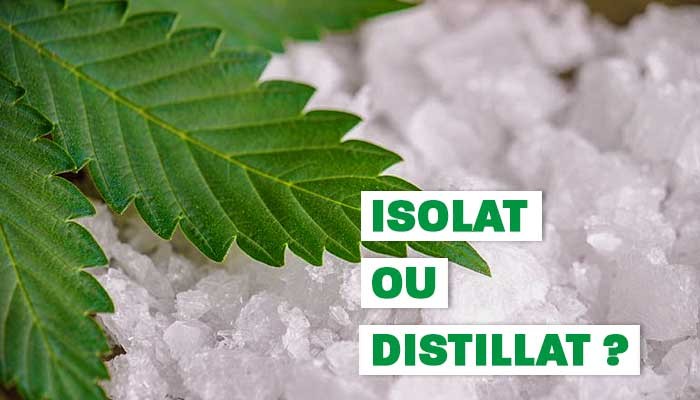 Différence entre distillate et isolate ?